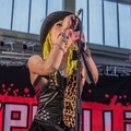 Click to enlarge GutterPunk - Professional Concert Photography